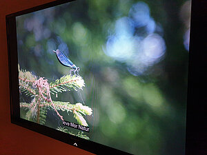 Musik- och bildspel.